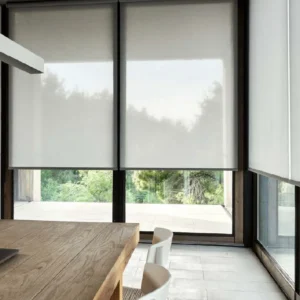 Roller Screen